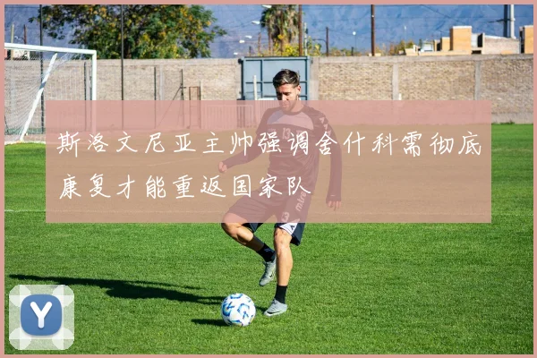 斯洛文尼亚主帅强调舍什科需彻底康复才能重返国家队